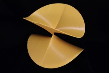 algebraic surface Limao in yellow on a black background